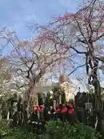 薬師寺 南蔵院 (東京都)