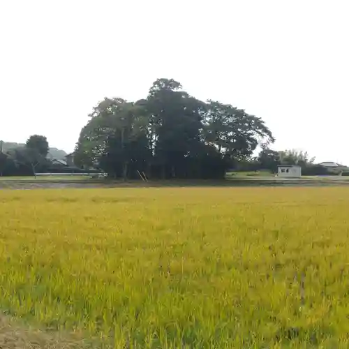 出世稲荷神社の景色