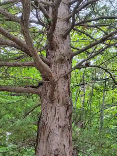 厚別神社(北海道)