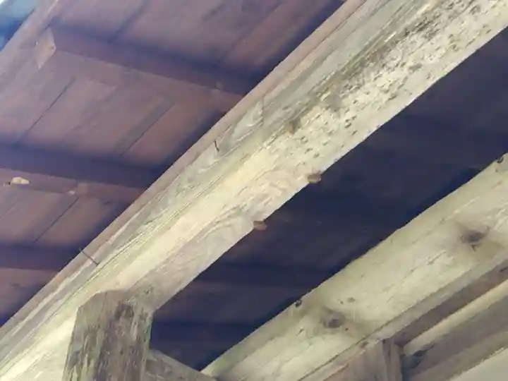 常光寺(福井県)