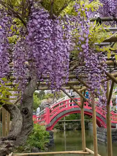 亀戸天神社(東京都)