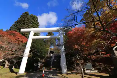 土津神社｜こどもと出世の神さまの鳥居