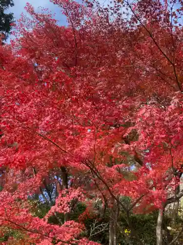 三室戸寺(京都府)