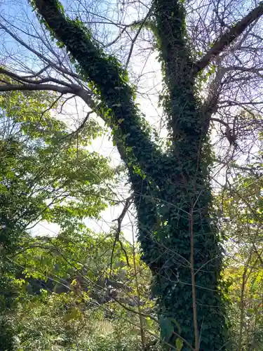 小坂熊野神社(茨城県)