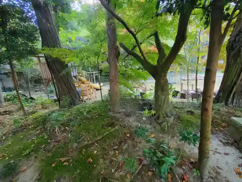 五所駒瀧神社(茨城県)