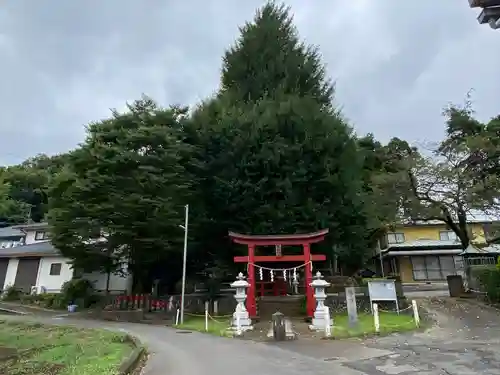 東中野熊野神社の鳥居