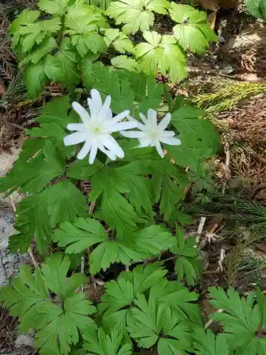 磐椅神社(福島県)