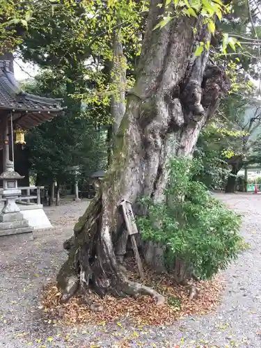 水屋神社(三重県)