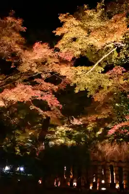 宝厳院(京都府)