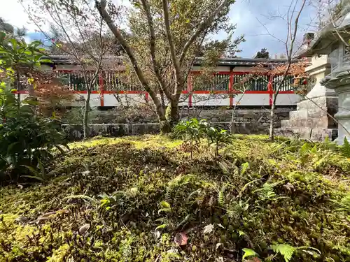 鍬山神社(京都府)