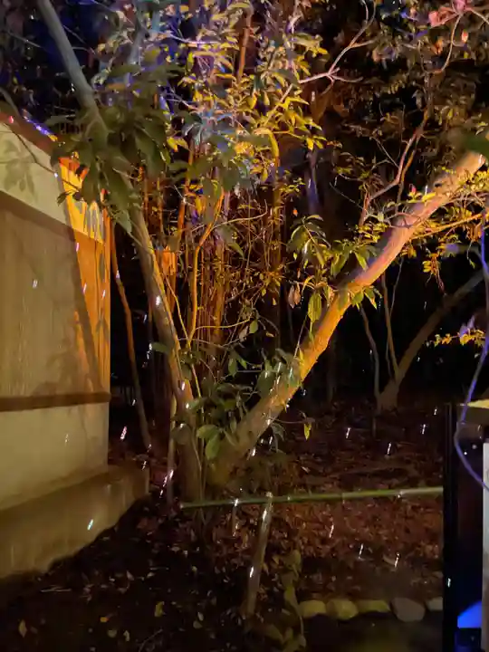 平安神宮(京都府)