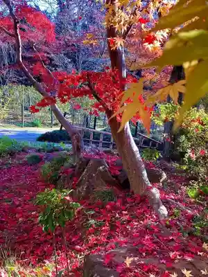 本土寺(千葉県)