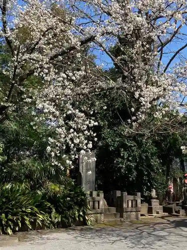 最勝寺教学院の自然