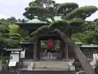 長谷寺の山門・神門