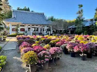 総世寺のその他建物