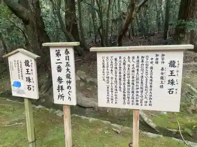 龍王珠石の{uncategorized: "未分類", other: "その他", undefined: "問題あり", building: "その他建物", grave: "お墓", sacred_gate: "鳥居", guardian: "狛犬", statue: "像", buddha: "仏像", history: "歴史", nature: "自然", garden: "庭園", animal: "動物", pagoda: "塔", temizu: "手水舎", mountain_gate: "山門・神門", sanctuary: "本殿・本堂", subordinate: "末社・摂社", art: "芸術", scenery: "景色", jizo: "地蔵", ema: "絵馬", goshuin: "御朱印", omikuji: "おみくじ", items: "授与品その他", amulet: "お守り", goshuincho: "御朱印帳", eats: "食事", festival: "お祭り", votive_dance: "神楽", shichigosan: "七五三参", wedding: "結婚式", experience: "体験その他", initially: "初詣", around: "周辺", anti_infection: "感染症対策"}