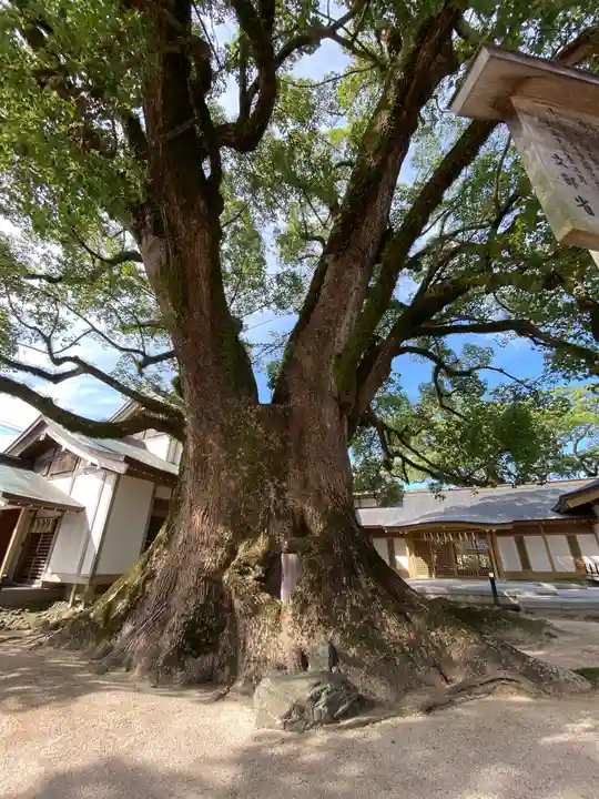 太宰府天満宮の自然