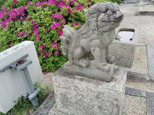 宇賀神社の狛犬