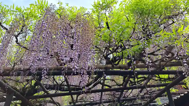 長岡天満宮(京都府)