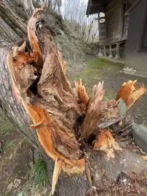 仙台八坂神社(宮城県)