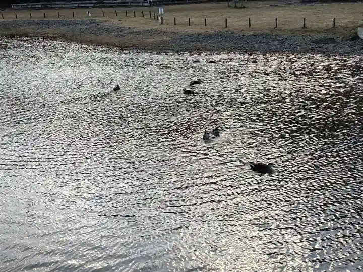 永福寺跡(永福寺址)(神奈川県)