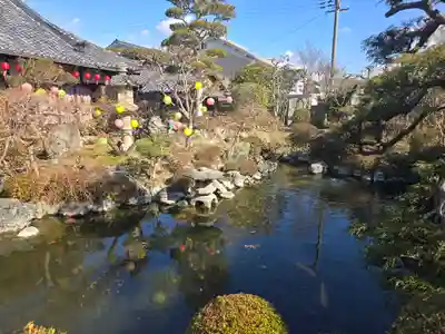 おふさ観音（観音寺）(奈良県)