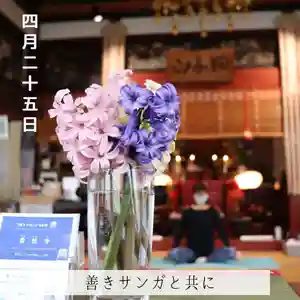 壽徳寺 じゅとくじ(福島県)(2022年04月25日(月) 09時01分54秒投稿)