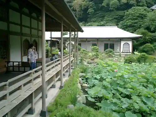 光明寺の庭園