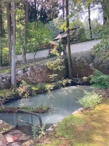 妙巌寺の山門