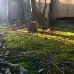 宗形神社の自然