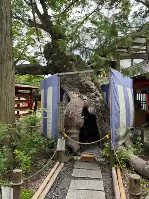 生島足島神社(長野県)