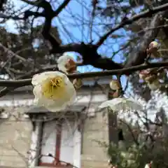 豊景神社(福島県)