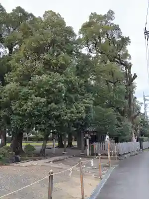 綱越神社（大神神社摂社）(奈良県)