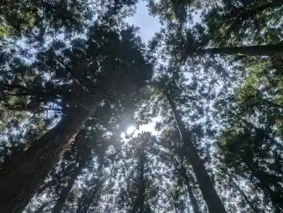 山宮浅間神社(静岡県)