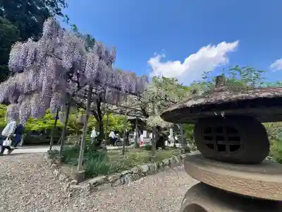 天台宗 五大山 白毫寺(兵庫県)