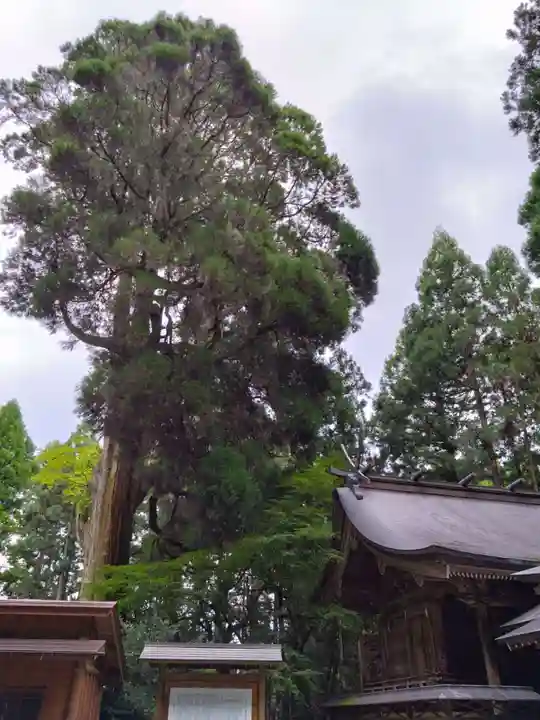 草部吉見神社(熊本県)