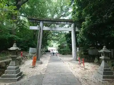 熊野三所神社の鳥居