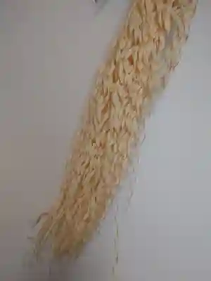 入間川大国神社(埼玉県)