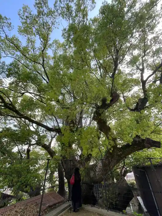 菅原神社(長崎県)