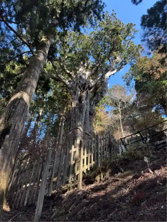玉置神社(奈良県)