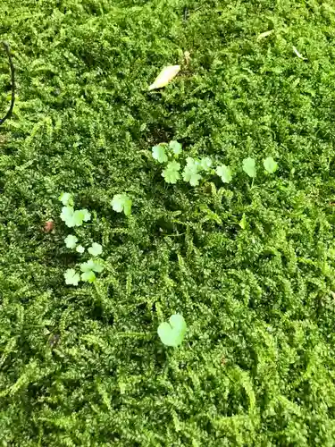 貴船神社の自然