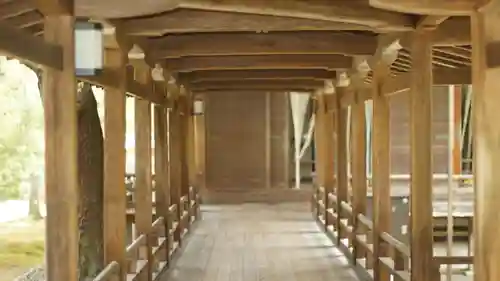 大覚寺(京都府)