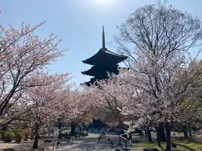 東寺（教王護国寺）(京都府)