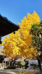 檀王法林寺の自然