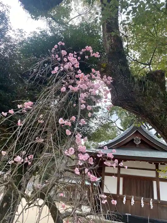 四條畷神社の自然