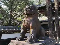 観音寺（世田谷山観音寺）の狛犬