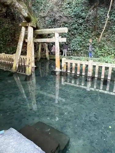 鹿島神宮(茨城県)