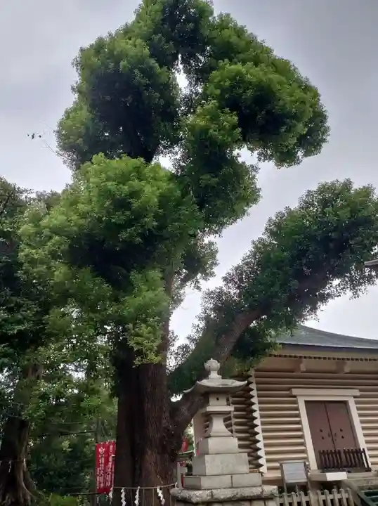 諏訪神社(東京都)
