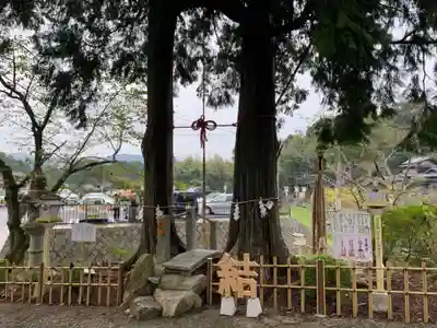 武雄神社(佐賀県)