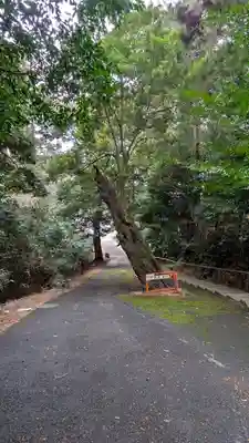 箭簳神社(滋賀県)